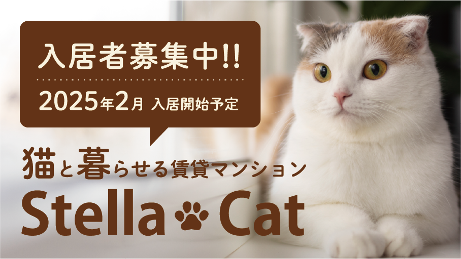 猫と暮らせる賃貸マンション StellaCat 入居者募集中！！