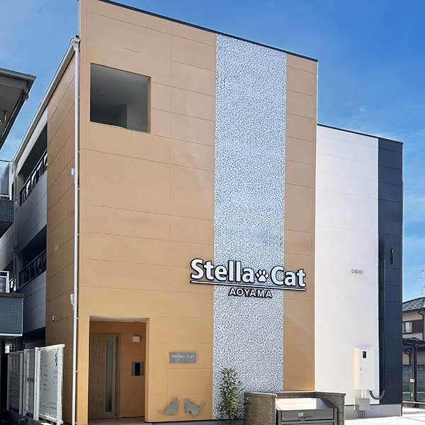 ステラキャット青山