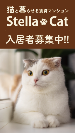 猫と暮らせる賃貸マンション StellaCat 入居者募集中！！