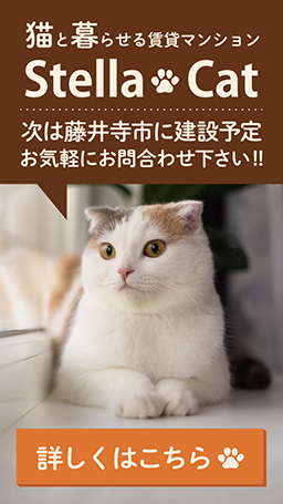 猫と暮らせる賃貸マンション StellaCat 入居者募集中！！