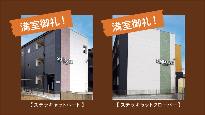 ステラキャット満員御礼
